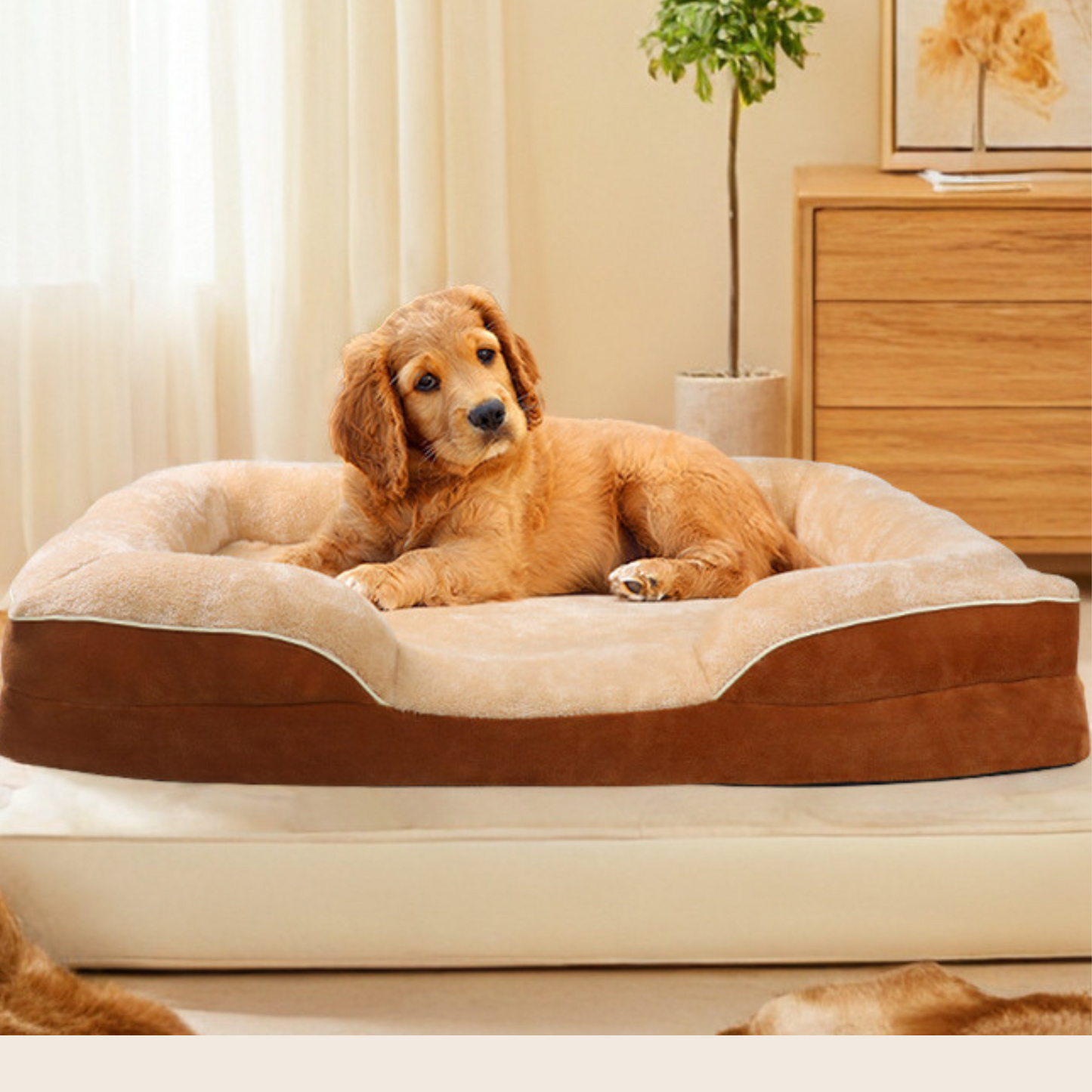 Furseasons™ Velvet Serenity Bed