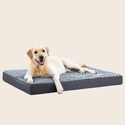 Furseasons™ Luxe Memory Foam Bed